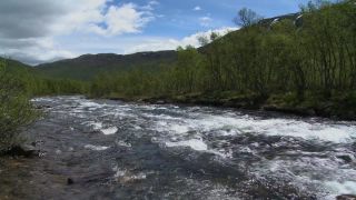 Link to Video | lake, water