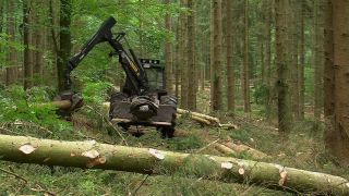 Link to Video | machine, Waldbauer, trunk, Forstwirtschaft, industry, forest worker, forestry, Vollernter, silviculture, nature