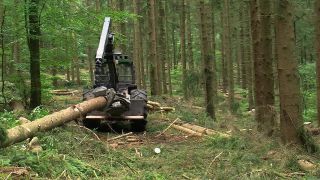 Link to Video | machine, Waldbauer, trunk, Forstwirtschaft, industry, forest worker, forestry, Vollernter, silviculture, nature