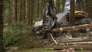 Link to Video | machine, Waldbauer, trunk, Forstwirtschaft, industry, forest worker, forestry, Vollernter, silviculture, nature