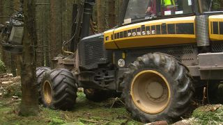 Link to Video | machine, Waldbauer, trunk, Forstwirtschaft, industry, forest worker, forestry, Vollernter, silviculture, nature