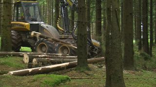 Link to Video | machine, Waldbauer, trunk, Forstwirtschaft, industry, forest worker, forestry, Vollernter, silviculture, nature