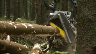 Link to Video | machine, Waldbauer, trunk, Forstwirtschaft, industry, forest worker, forestry, Vollernter, silviculture, nature