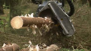 Link to Video | machine, Waldbauer, trunk, Forstwirtschaft, industry, forest worker, forestry, Vollernter, silviculture, nature