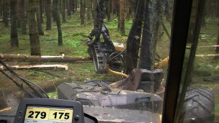 Link to Video | machine, Waldbauer, trunk, Forstwirtschaft, industry, forest worker, forestry, Vollernter, silviculture, nature