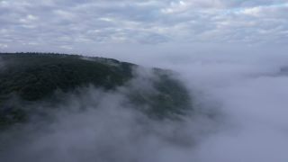 Link to Video | landscape, bird's-eye view, territorial entity, landscape element, meteorological phenomenon, landform, high-angle shot, fog, forest, aerial shot, nature, cloud