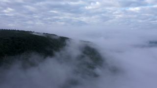Link zum Video | Landschaft, Vogelperspektive, Gebiet, Landschaftselement, Wetterphänomen, Landform, Aufsicht, Nebel, Wald, Luftaufnahme, Natur, Wolke