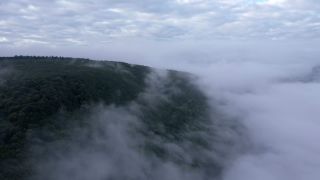 Link to Video | landscape, bird's-eye view, territorial entity, landscape element, meteorological phenomenon, landform, high-angle shot, fog, forest, aerial shot, nature, cloud