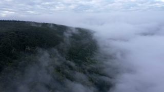 Link to Video | landscape, bird's-eye view, territorial entity, landscape element, meteorological phenomenon, landform, high-angle shot, fog, forest, aerial shot, nature, cloud