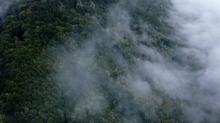 Link zum Video | Landschaft, Vogelperspektive, Gebiet, Landschaftselement, Wetterphänomen, Landform, Aufsicht, Nebel, Wald, Luftaufnahme, Natur, Wolke