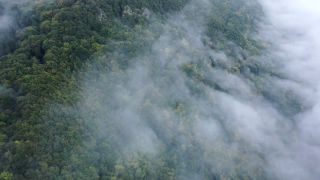 Link to Video | landscape, bird's-eye view, territorial entity, landscape element, meteorological phenomenon, landform, high-angle shot, fog, forest, aerial shot, nature, cloud