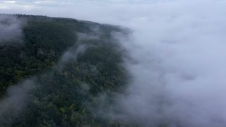 Link to Video | landscape, bird's-eye view, territorial entity, landscape element, meteorological phenomenon, landform, high-angle shot, fog, forest, aerial shot, nature, cloud