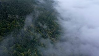 Link zum Video | Landschaft, Vogelperspektive, Gebiet, Landschaftselement, Wetterphänomen, Landform, Aufsicht, Nebel, Wald, Luftaufnahme, Natur, Wolke