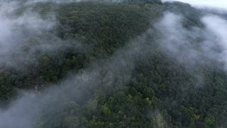 Link to Video | landscape, bird's-eye view, territorial entity, landscape element, meteorological phenomenon, landform, high-angle shot, fog, forest, aerial shot, nature, cloud