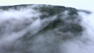 Link to Video | landscape, bird's-eye view, territorial entity, landscape element, meteorological phenomenon, landform, high-angle shot, fog, forest, aerial shot, nature, cloud