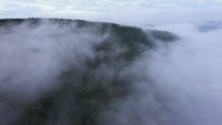 Link zum Video | Landschaft, Vogelperspektive, Gebiet, Landschaftselement, Wetterphänomen, Landform, Aufsicht, Nebel, Wald, Luftaufnahme, Natur, Wolke