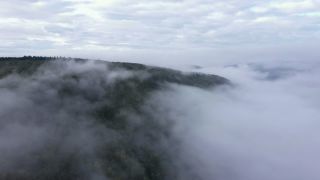 Link zum Video | Landschaft, Vogelperspektive, Gebiet, Landschaftselement, Wetterphänomen, Landform, Aufsicht, Nebel, Wald, Luftaufnahme, Natur, Wolke