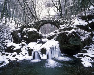 Link to Photo