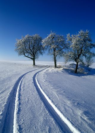 Link to Photo