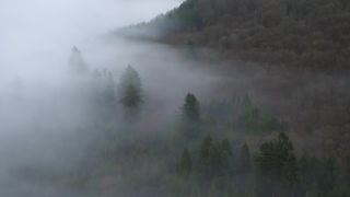Link to Video | landscape, autumn, Saar, Germany, fog, forest, Mettlach, nature, cloud