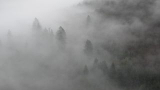 Link to Video | landscape, autumn, Saar, Germany, fog, forest, Mettlach, nature, cloud