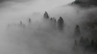 Link to Video | landscape, autumn, Saar, Germany, fog, forest, Mettlach, nature, cloud