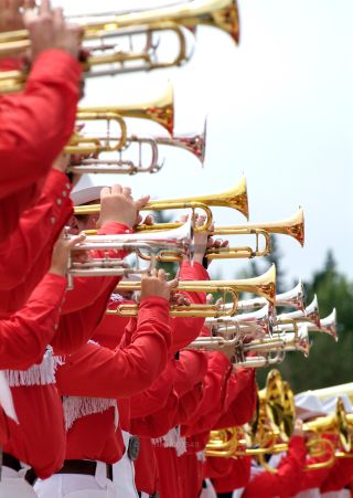 Link to Photo | Calgary Stampede, annual event, festival, Canada, Alberta, metropolis, Rodeo, Calgary, North America