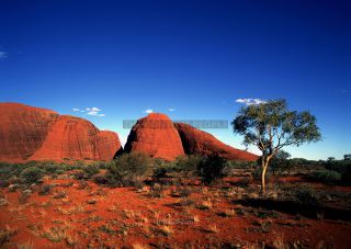 Link to Photo | mainland territory of Australia, protected area of Australia, national park of Australia, Kata Tjuta / Mount Olga, Uluṟu-Kata Tjuṯa National Park, mainland Australia, Northern Territory, Australian continent, national park, mountain range, continent, Oceania, mountain, desert