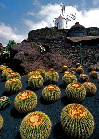Link to Photo | Lanzarote, region of interest, Spain, Europe, tourist attraction, Canary Islands, point of interest, Atlantic Ocean
