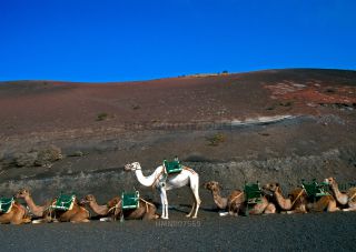 Link to Photo | Lanzarote, region of interest, Spain, Europe, tourist attraction, Canary Islands, point of interest, Atlantic Ocean