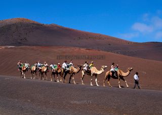 Link to Photo | Lanzarote, region of interest, Spain, Europe, tourist attraction, Canary Islands, point of interest, Atlantic Ocean