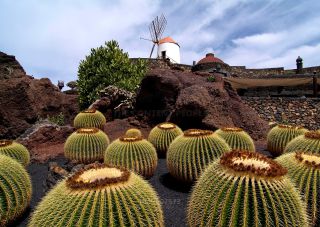 Link to Photo | Lanzarote, region of interest, Spain, Europe, tourist attraction, Canary Islands, point of interest, Atlantic Ocean
