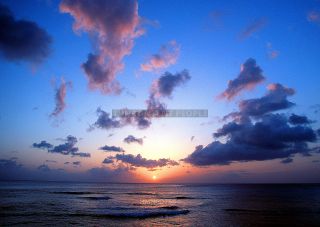 Link to Photo | island country, Caribbean Sea, Antilles, Barbados, Barbados, Caribbean, Lesser Antilles
