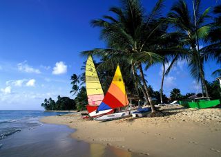Link to Photo | island country, Caribbean Sea, Antilles, Barbados, Barbados, Caribbean, Lesser Antilles