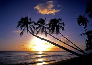 Link to Photo | island country, Caribbean Sea, Antilles, Barbados, Barbados, Caribbean, Lesser Antilles