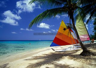 Link to Photo | island country, Caribbean Sea, Antilles, Barbados, Barbados, Caribbean, Lesser Antilles