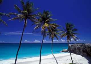 Link to Photo | island country, Caribbean Sea, Antilles, Barbados, Barbados, Caribbean, Lesser Antilles