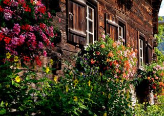 Link to Photo | Germany, Central Europe