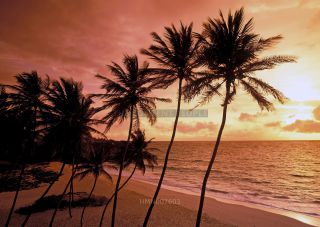 Link to Photo | island country, Caribbean Sea, Antilles, Barbados, Barbados, Caribbean, Lesser Antilles