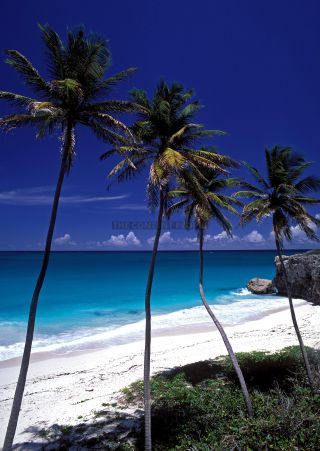 Link to Photo | island country, Caribbean Sea, Antilles, Barbados, Barbados, Caribbean, Lesser Antilles