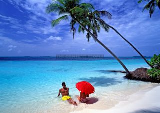 Link to Photo | landscape, island country, vacation, paid leave, leisure, coastal landform, landform, beach, Asia, tourist, paid time off, Maldives