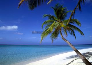 Link to Photo | landscape, island country, vacation, paid leave, leisure, coastal landform, landform, beach, Asia, tourist, paid time off, Maldives