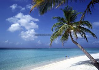 Link to Photo | landscape, island country, vacation, paid leave, leisure, coastal landform, landform, beach, Asia, tourist, paid time off, Maldives