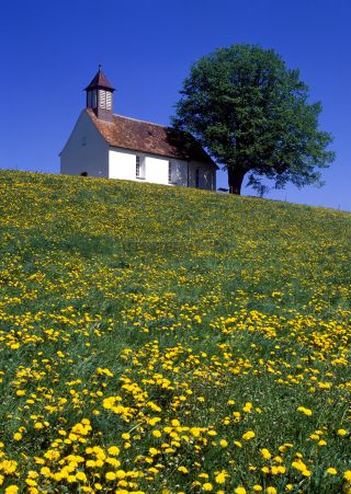 Link to Photo | Allgäu, Germany, Central Europe, Europe, Southern Germany, Bavaria