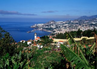 Link to Photo | Madeira, Funchal, Madeira, Madeira Island, Portugal, Europe, Atlantic Ocean