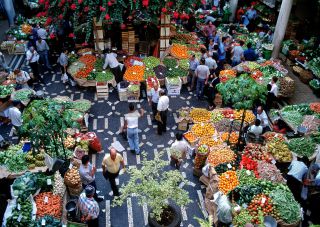 Link to Photo | Madeira, Funchal, Madeira, Madeira Island, Portugal, Europe, Atlantic Ocean
