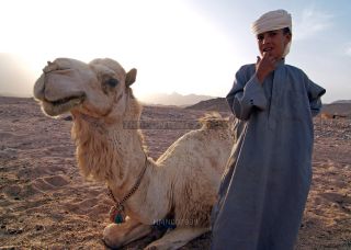 Link to Photo | Africa, North Africa, Egypt