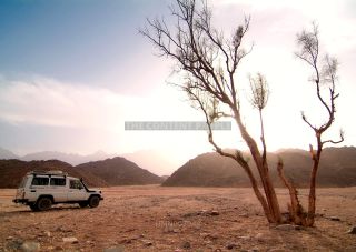 Link to Photo | Africa, North Africa, Egypt