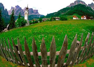 Link to Photo