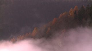 Link to Video | landscape, Saarland, landscape element, Saar, meteorological phenomenon, Germany, landform, fog, forest, Saarschleife, nature, cloud